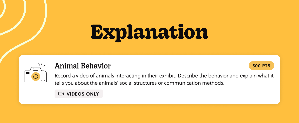 A mission titled "Animal Behavior". The task is to take a video: "Record a video of animals interacting in their exhibit. Describe the behavior and explain what it tells you about the animals' social structure or communication methods."