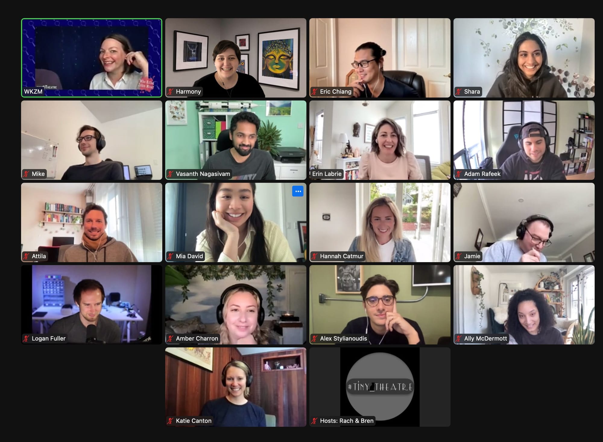 people on a video call