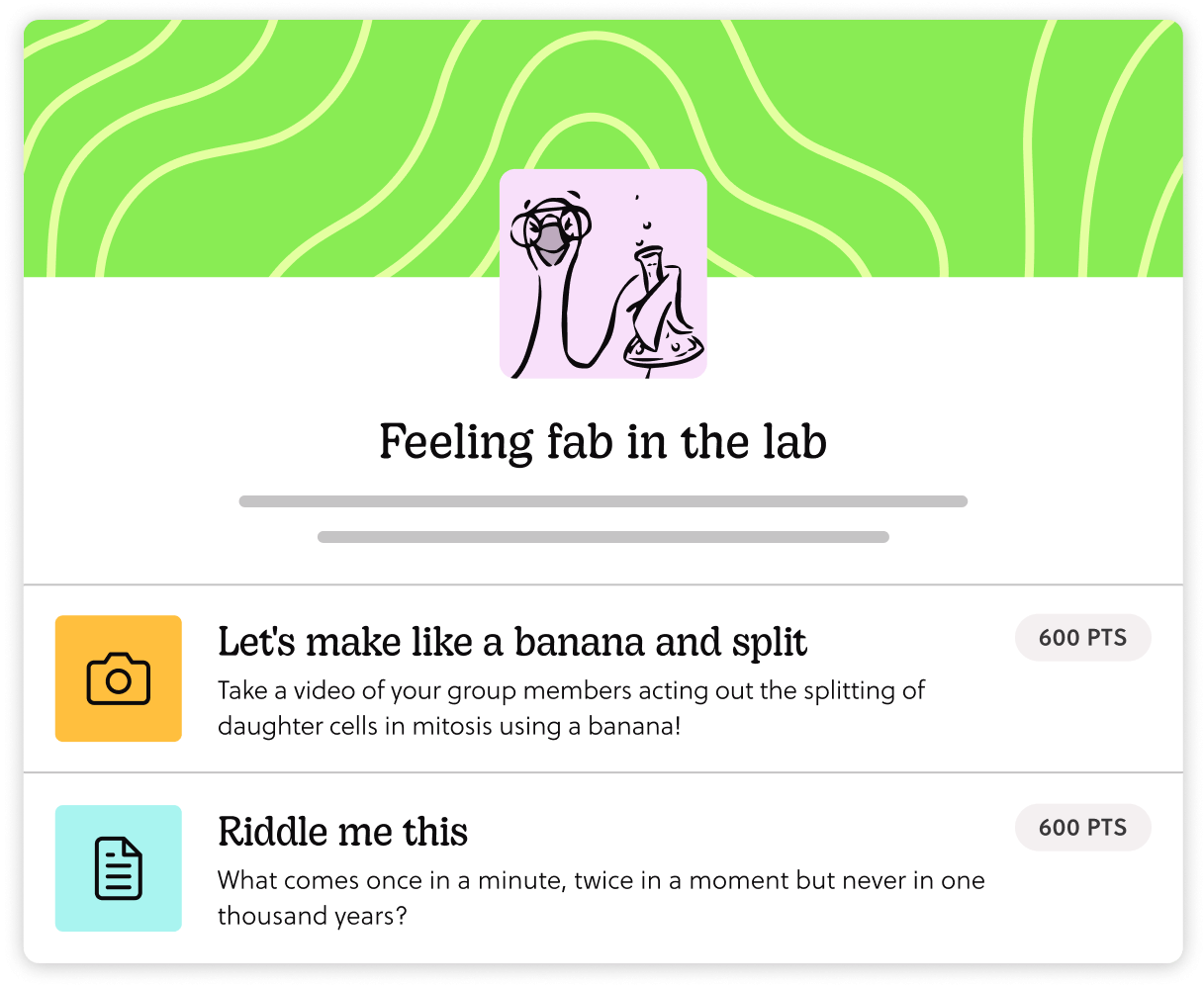 A Goosechase Experience designed to test science understanding