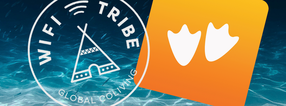 Images of the Wifi Tribe and Goosechase logos