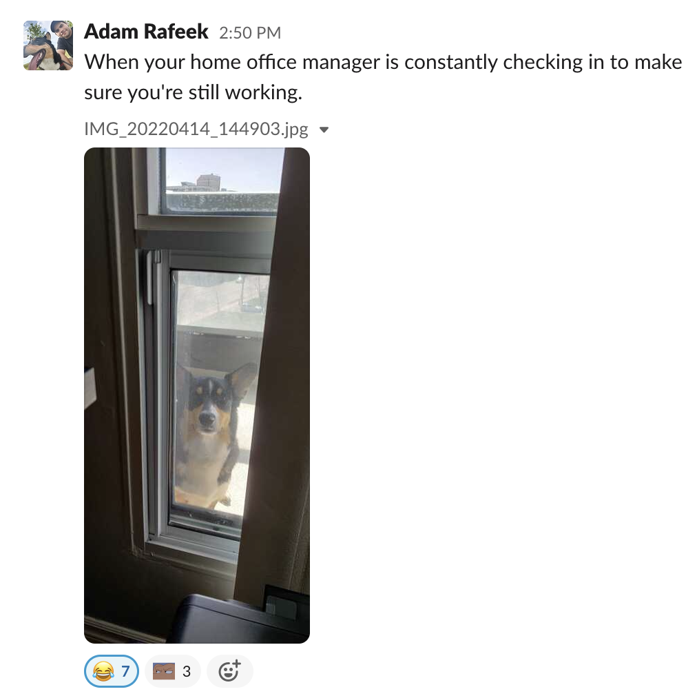 What is a Virtual Water Cooler and Why Your Team Needs One Goosechase