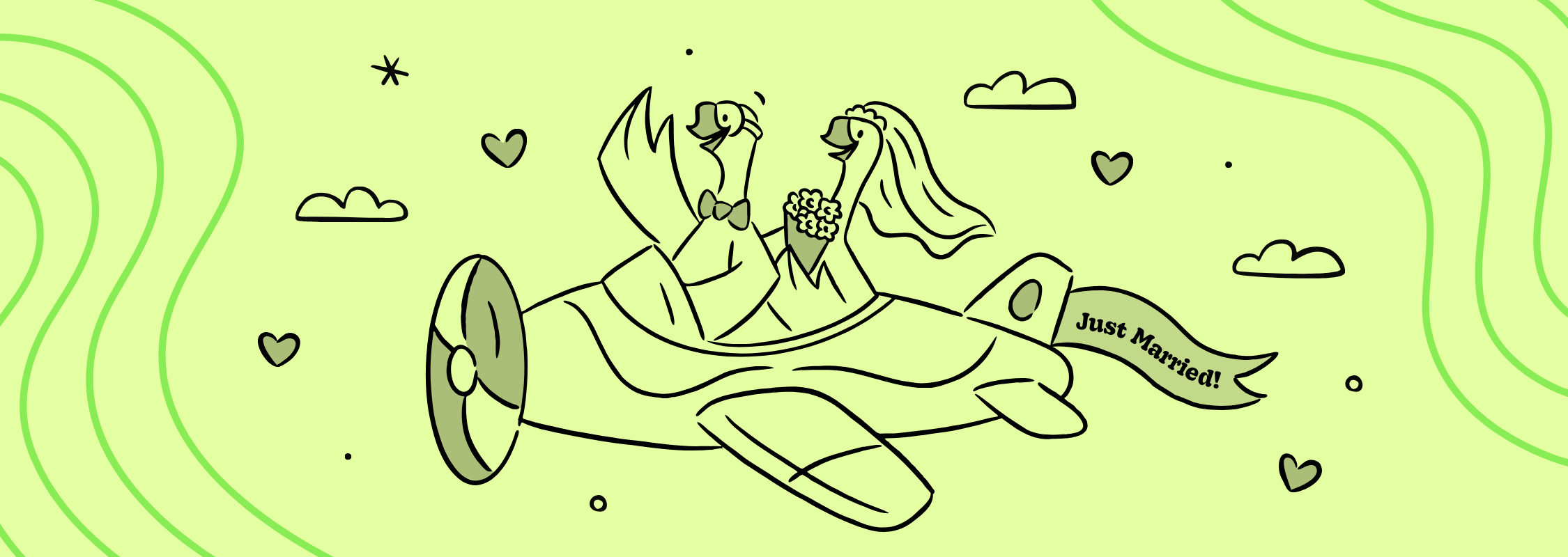 a bride and groom goose flying in an airplane