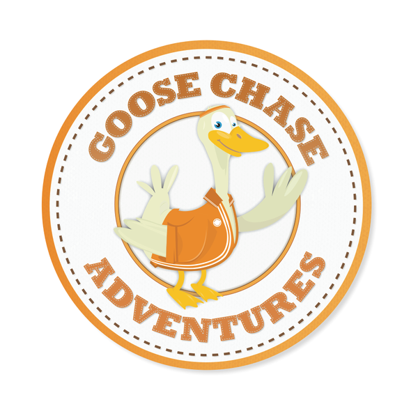 The Lowdown on the New Logo Goosechase